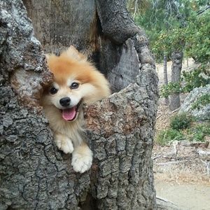 Meet your Posher, Austin